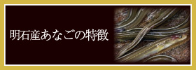 明石あなごの特徴