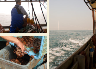 漁師からのごあいさつ